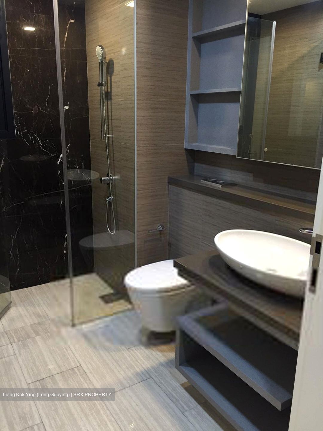 Sky Green (D13), Condominium #536188541